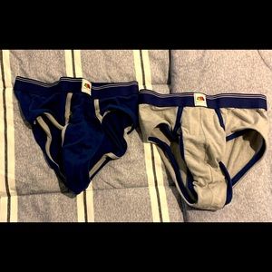 2 briefs and one bikini